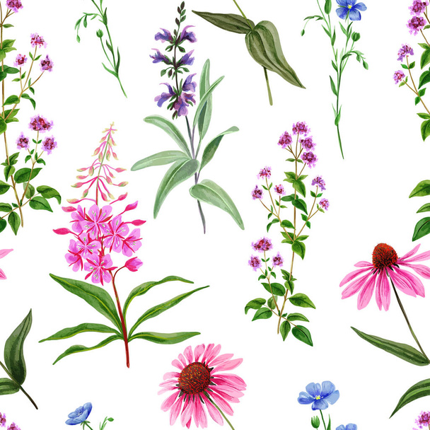 Watercolor seamless pattern, wild field flowers  - Vetor, Imagem