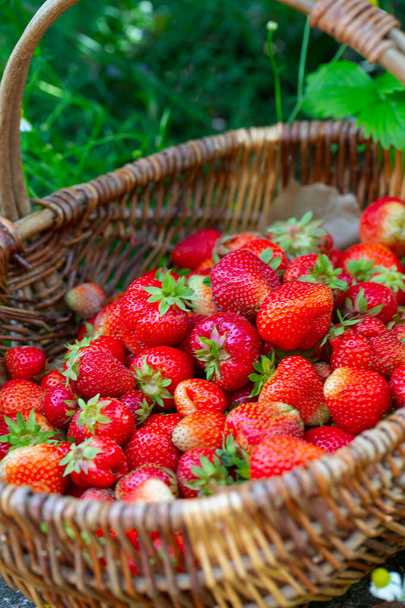 strawberries in a basket - Fotoğraf, Görsel