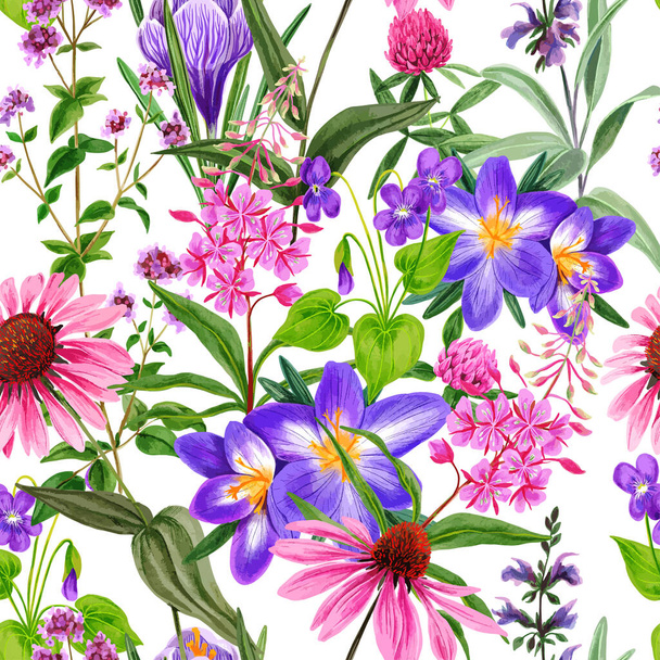 Watercolor seamless pattern, wild field flowers and herbs - Vektor, obrázek