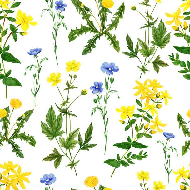 Watercolor seamless pattern, wild field flowers and herbs - Vector, Image