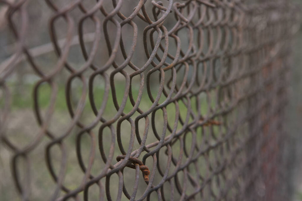 Металлическая сетка с клетками. Ржавый металл. Забор
 - Фото, изображение