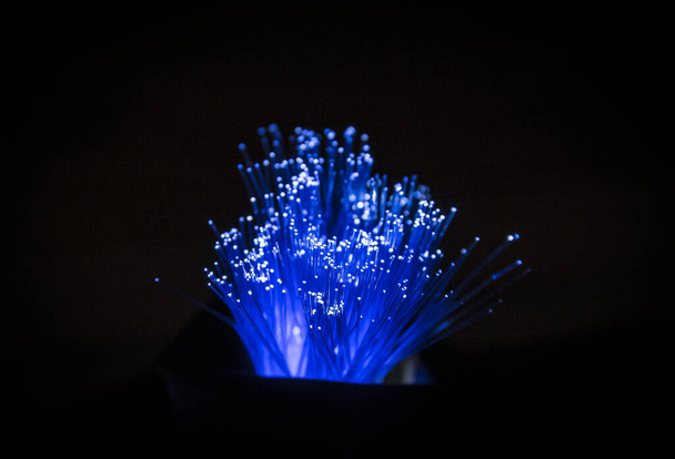 Optické vlákno, koncept internetového drátu, nese světelné signály pro telekomunikační účely. Skleněné trubice zářící ve tmě. - Fotografie, Obrázek