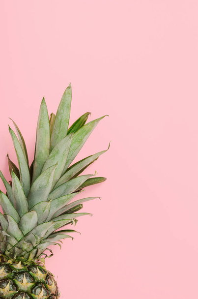 Ripe pineapple with green leaves on a pink background. Summer refreshing tropical dietary healthy fruit. Copy space, top view, flat, lay, minimal composition - Photo, image