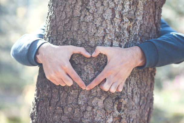 man hand hart op boom in het bos - Foto, afbeelding