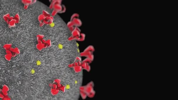Coronavirus SARS-CoV-2 2019-nCoV - Video, Çekim