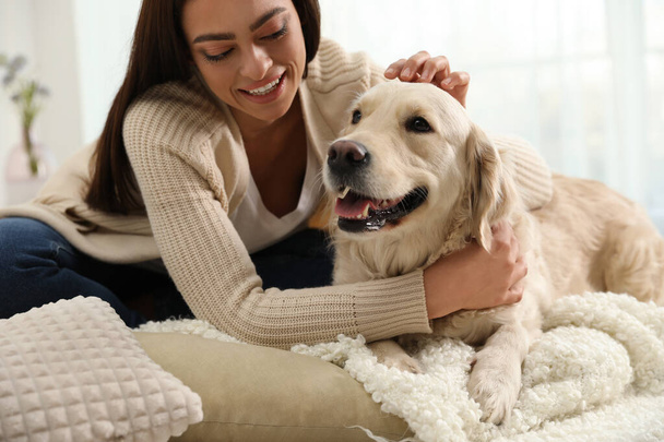 Young woman and her Golden Retriever at home. Adorable pet - 写真・画像