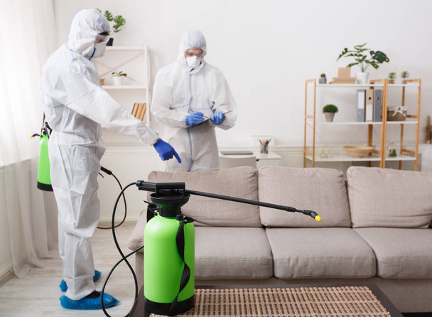 Cleaning company making treatment of sofas and surfaces - Valokuva, kuva