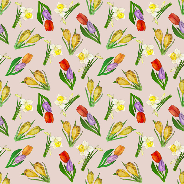 Watercolor spring floral pattern with narcissus, tulip and crocus - Fotografie, Obrázek