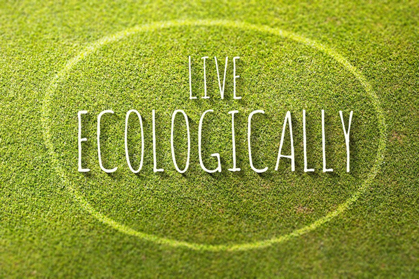 Live ecologically poster illustration of eco-friendly life - Foto, Imagem
