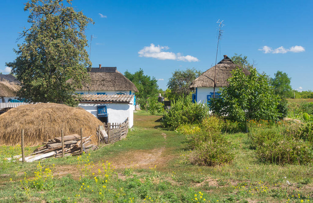 Classic Ukrainan maaseudun maisema savi aidattu taloja olki katon alla ja päärynä puu sisällä maatilalla
 - Valokuva, kuva