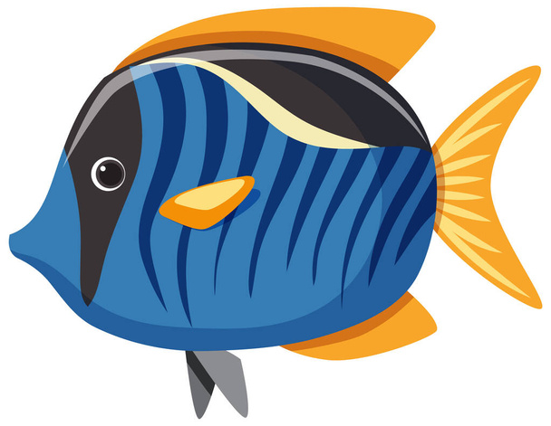 Bluetang ryby na bílém pozadí ilustrace - Vektor, obrázek