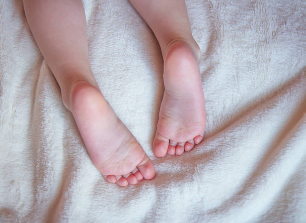 Baby feet on a blanket - 写真・画像