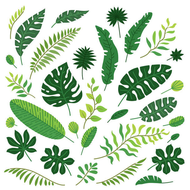 Vector cartoon set of tropical leaves isolated - Vector, Image