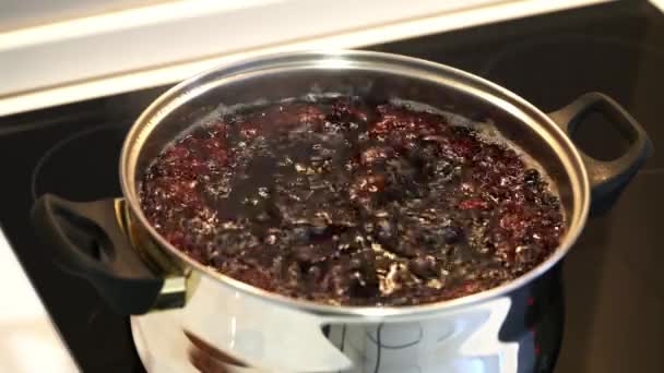 Cooking Fruit Compote with blackberry and aronia - Materiał filmowy, wideo