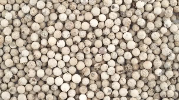 top view from above of white pepper peppercorns - Footage, Video