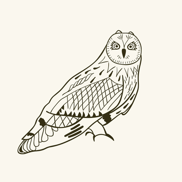 Cute owl - Vector, Image