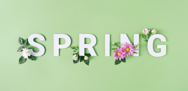 パステルグリーンの背景に白とピンクの花を持つ春の手紙。ミニマルな自然シーズンのコンセプト. - 写真・画像