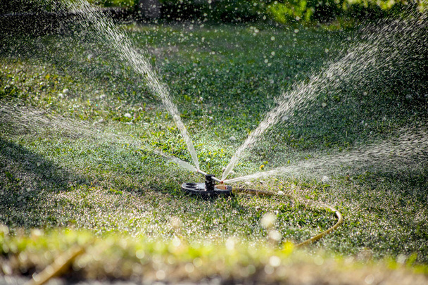 Aspersor de grama pulverizando água sobre grama verde, sistema de irrigação
. - Foto, Imagem