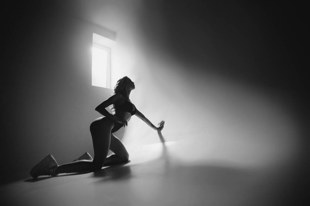 Silhouette of a girl with a sports figure - Zdjęcie, obraz