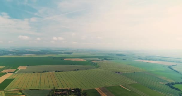 Antenni video hämmästyttävä maisema, jossa eri viljelykasvien terassit kaunis päivä
. - Materiaali, video