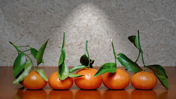 Pět mandarínských pomerančů se stonky a listy stále ještě připevněnými ve frontě k dřevěnému pultu. Za ovocem je neutrální pozadí se světlem stékajícím dolů. Obraz je jasný a barevný. Funguje po většinu sezóny, ale nejefektivnější pro jaro a součet - Fotografie, Obrázek