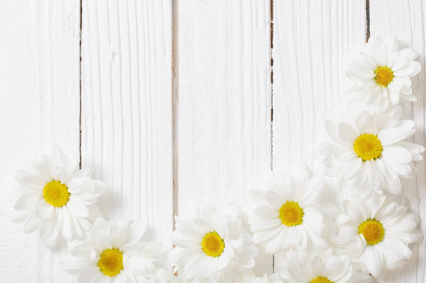 white chrysanthemum on white wooden background - Φωτογραφία, εικόνα