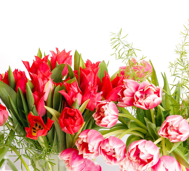 Bright bouquets of tulips, festive spring composition on a white background - Фото, изображение