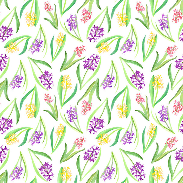 ピンクの黄色紫色のヒヤシンスの花や葉のシームレスなパターン。白を基調としたパステルカラーの春の水彩画。新鮮で明るい手描きのヒアシンス植物のデザイン - 写真・画像