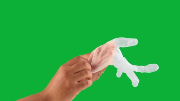 mužská ruka na zeleném chromakey nasadit latexovou rukavici - Záběry, video