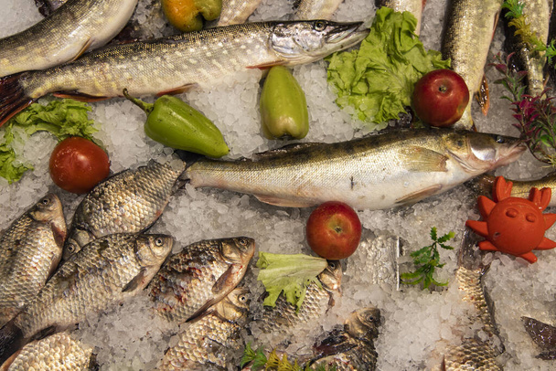 рыбные продукты замороженная рыбная лавка
 - Фото, изображение