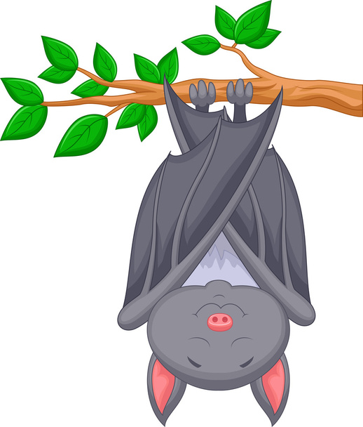 Lindo murciélago dibujos animados durmiendo
 - Vector, imagen