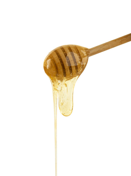 Close up fresh thick fluid acacia honey pouring and flowing from wooden dipper spoon isolated on white background with copy space, low angle side view - 写真・画像