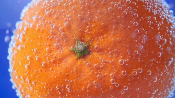 close-up mandarijnenfruit, achtergrond in water, onder water. achtergrond, textuur - Video