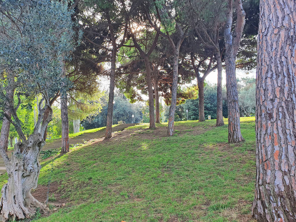 Сади Джоан Бросса, важлива пам "ятка в Барселоні. - Фото, зображення