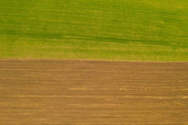 Bahar mevsiminde yukarıdan alan dokusu, yarı yeşil yarı toprak - Fotoğraf, Görsel