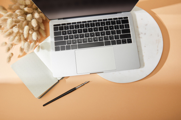 top view of laptop on marble board, lagurus spikelets, notebook, paintbrush on beige background - Photo, Image