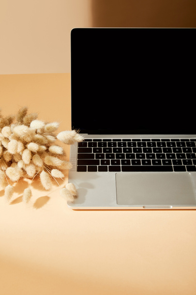 laptop met blanco scherm bij lagurus spikeletten op beige oppervlak - Foto, afbeelding