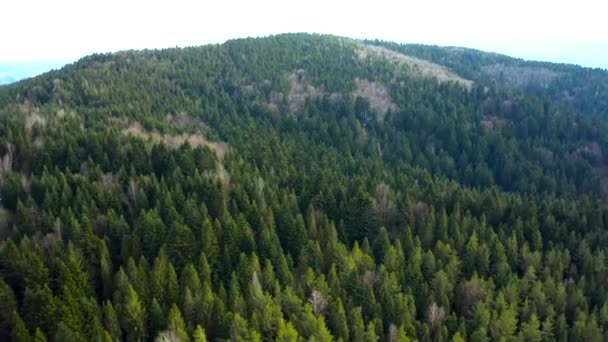 Bellissimi voli drone sopra le foreste con una splendida vista sulle montagne e sulle foreste
 - Filmati, video