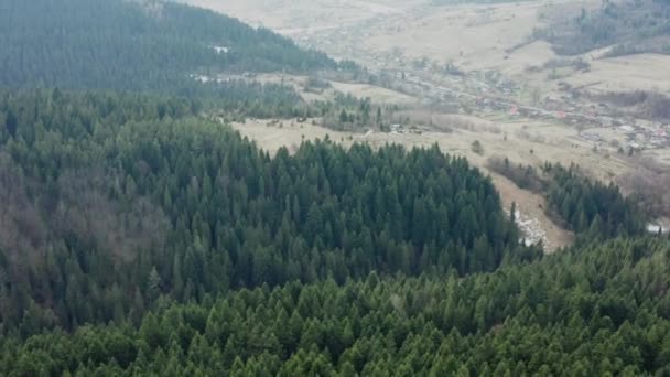 Beaux vols de drone au-dessus des forêts avec de belles vues sur les montagnes et les forêts
 - Séquence, vidéo
