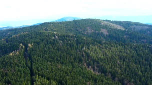 Όμορφες πτήσεις drone πάνω από δάση με όμορφη θέα στα βουνά και τα δάση - Πλάνα, βίντεο
