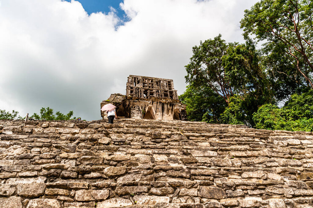 Femmes avec parapluie montant les escaliers de la pyramide Maya à Palenque
 - Photo, image