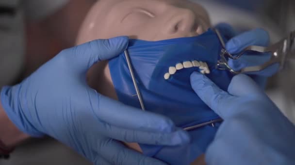 Extreme close-up of hands in protective gloves installing cofferdam on dental mannequin. Stomatology students practicing manipulation. Odontology, medicine, health care, profession. - Materiał filmowy, wideo