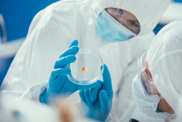 dva biochemici při pohledu na Petriho misku s biomateriálem v laboratoři - Fotografie, Obrázek