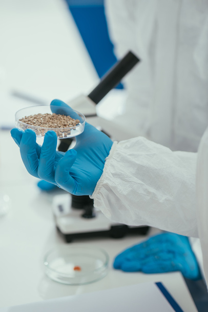 cropped view of biochemist holding petri dish with gravel near colleague - Photo, Image