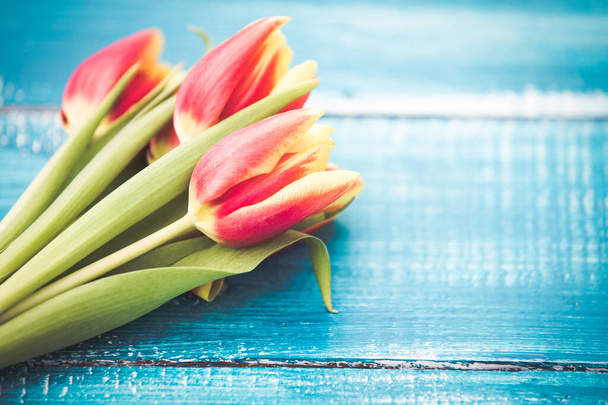 Tulipanes de primavera sobre fondo de madera azul
 - Foto, Imagen