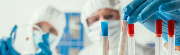 foco seletivo do bioquímico tomando tubo de ensaio perto colega segurando placa de Petri, tiro panorâmico
 - Foto, Imagem