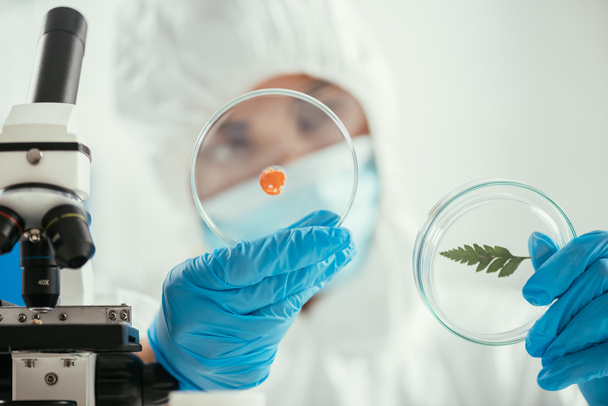 foco selectivo del bioquímico que sostiene placas de Petri con hoja verde y biomaterial cerca del microscopio
 - Foto, Imagen