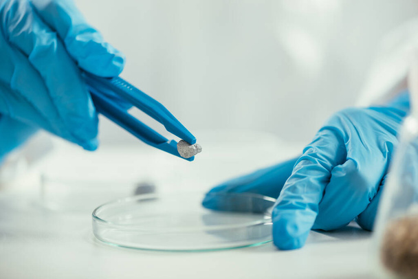 vista recortada del bioquímico sosteniendo una pequeña piedra con pinzas cerca de la placa de Petri
 - Foto, Imagen
