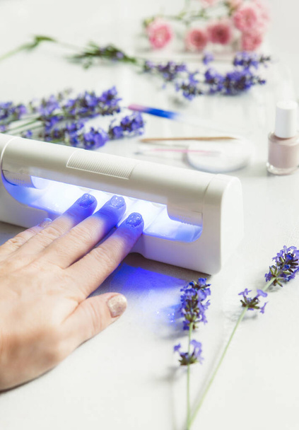Gros plan de la main de la femme à l'aide de LED UV Light Nail Dryer pour durcir le vernis à ongles UV. Bouteille de vernis à ongles rose et fleurs de lavande sur fond blanc clair
. - Photo, image
