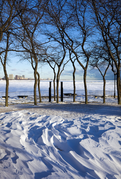 Zima w chicago - Zdjęcie, obraz
